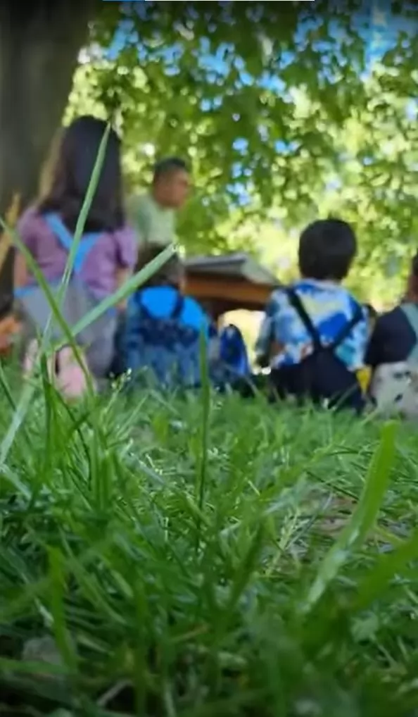 New School'da Eğitim